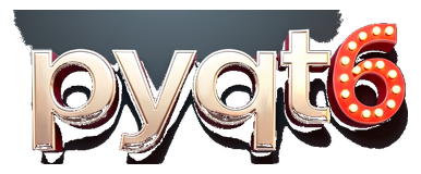 pyqt6 logo